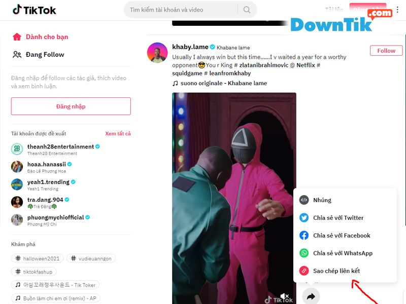 DownTik Download Video TikTok